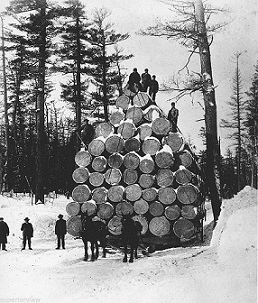 Crown Of Asteria : Blood on the Snow